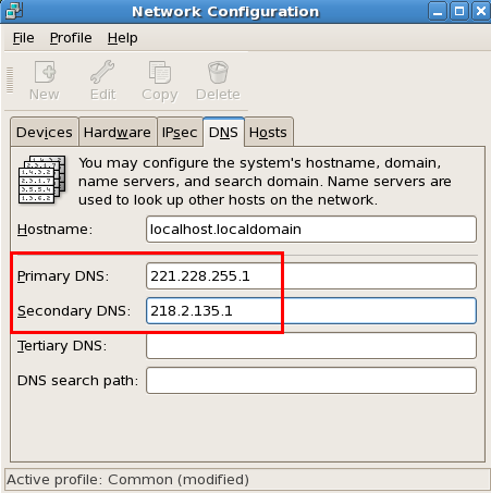 桥接模式错误配置DNS